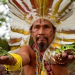 TERAPIAS ALTERNATIVAS